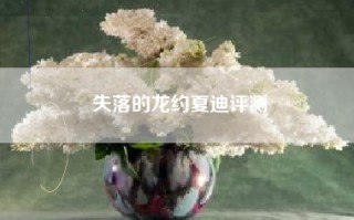 失落的龙约夏迪评测