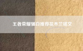 王者荣耀骚白推荐花木兰铭文