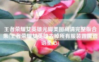王者荣耀女英雄光脚美图高清完整版合集(王者荣耀女英雄去掉所有服装露娜瓷语鉴心)