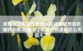 跑跑卡丁车官方竞速版完成黑妞想看熊猫的心愿(跑跑卡丁车官方竞速版怎么充值不了)