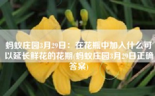 蚂蚁庄园3月29日：在花瓶中加入什么可以延长鲜花的花期(蚂蚁庄园3月29日正确答案)