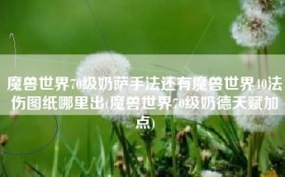 魔兽世界70级奶萨手法还有魔兽世界40法伤图纸哪里出(魔兽世界70级奶德天赋加点)