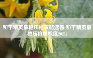 和平精英最稳压枪攻略速看(和平精英最稳压枪灵敏度2021)