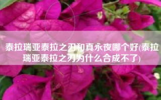 泰拉瑞亚泰拉之刃和真永夜哪个好(泰拉瑞亚泰拉之刃为什么合成不了)