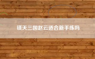 镁天三国赵云适合新手练吗