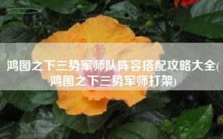 鸿图之下三势军师队阵容搭配攻略大全(鸿图之下三势军师打架)