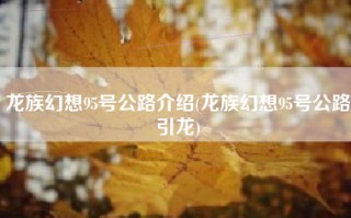 龙族幻想95号公路介绍(龙族幻想95号公路引龙)
