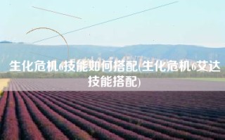 生化危机6技能如何搭配(生化危机6艾达技能搭配)