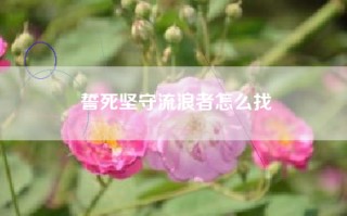 誓死坚守流浪者怎么找