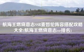 航海王燃烧意志SSR麦哲伦阵容搭配攻略大全(航海王燃烧意志ssr排名)