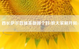 酋长萨尔首抽英雄哪个好(教大家刷开局)