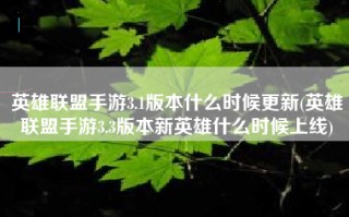 英雄联盟手游3.1版本什么时候更新(英雄联盟手游3.3版本新英雄什么时候上线)