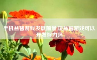 手机益智游戏发展前景,玩益智游戏可以开发智力吗