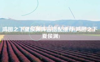 鸿图之下夏侯渊阵容搭配推荐(鸿图之下 夏侯渊)