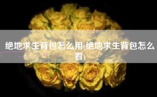 绝地求生背包怎么用(绝地求生背包怎么看)