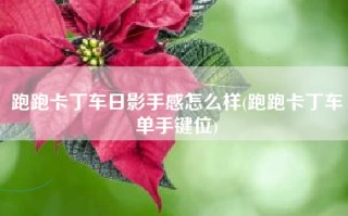 跑跑卡丁车日影手感怎么样(跑跑卡丁车单手键位)