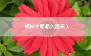 领袖之路怎么通关）