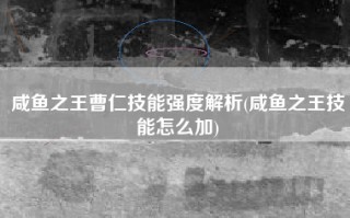 咸鱼之王曹仁技能强度解析(咸鱼之王技能怎么加)