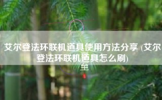 艾尔登法环联机道具使用方法分享 (艾尔登法环联机道具怎么刷)