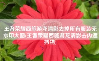 王者荣耀西施游龙清影去掉所有服装无水印大图(王者荣耀西施游龙清影去内遮挡物)