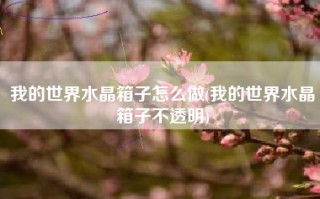 我的世界水晶箱子怎么做(我的世界水晶箱子不透明)