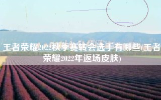 王者荣耀2022秋季赛转会选手有哪些(王者荣耀2022年返场皮肤)