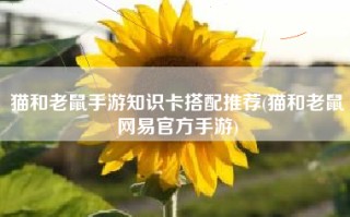 猫和老鼠手游知识卡搭配推荐(猫和老鼠网易官方手游)