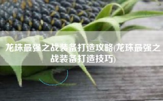 龙珠最强之战装备打造攻略(龙珠最强之战装备打造技巧)
