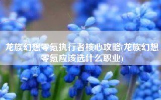 龙族幻想零氪执行者核心攻略(龙族幻想零氪应该选什么职业)