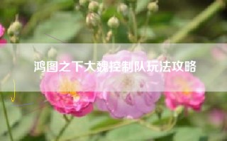 鸿图之下大魏控制队玩法攻略