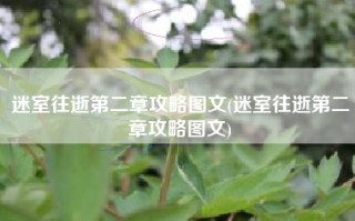 迷室往逝第二章攻略图文(迷室往逝第二章攻略图文)