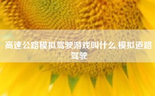 高速公路模拟驾驶游戏叫什么,模拟道路驾驶