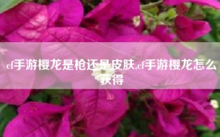 cf手游樱龙是枪还是皮肤,cf手游樱龙怎么获得