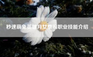秒速萌兔英雄月女祭司职业技能介绍