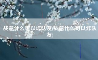 战意什么可以炸队友(战意什么可以炸队友)
