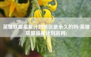 英雄联盟福星计划转区是永久的吗(英雄联盟福星计划官网)
