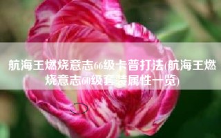 航海王燃烧意志66级卡普打法(航海王燃烧意志60级套装属性一览)