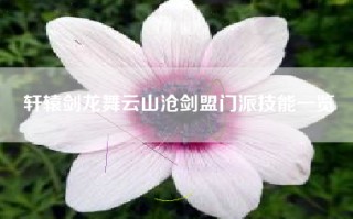 轩辕剑龙舞云山沧剑盟门派技能一览