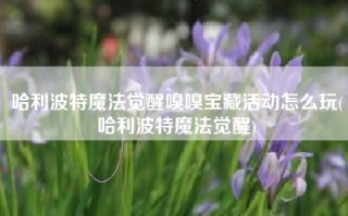 哈利波特魔法觉醒嗅嗅宝藏活动怎么玩(哈利波特魔法觉醒)