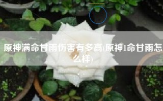 原神满命甘雨伤害有多高(原神1命甘雨怎么样)