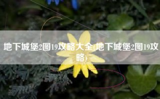 地下城堡2图19攻略大全(地下城堡2图19攻略)