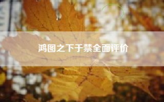 鸿图之下于禁全面评价