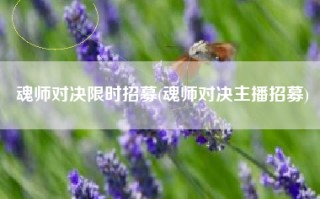 魂师对决限时招募(魂师对决主播招募)