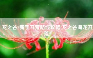 龙之谷2新手开荒路线攻略(龙之谷海龙开荒)