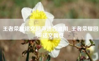 王者荣耀铭文回声适合谁用_王者荣耀回声铭文属性