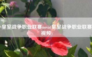 皇室战争职业联赛nova(皇室战争职业联赛视频)