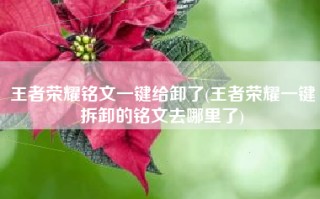 王者荣耀铭文一键给卸了(王者荣耀一键拆卸的铭文去哪里了)