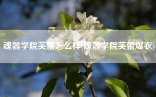魂器学院芙蕾怎么样(魂器学院芙蕾爆衣)