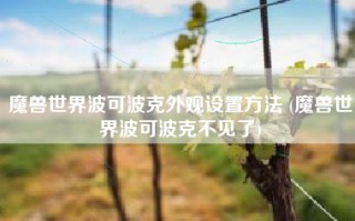 魔兽世界波可波克外观设置方法 (魔兽世界波可波克不见了)
