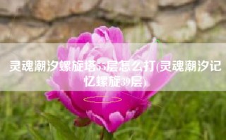 灵魂潮汐螺旋塔55层怎么打(灵魂潮汐记忆螺旋39层)